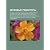 Zvukovye Redaktory: Vocaloid, Propellerhead Reason, Audioredaktor, Pro Tools, Ardour, Garageband, Mp3directcut, Ableton Live