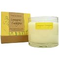 Lemongrass and Eucalyptus Candle - 3x4"