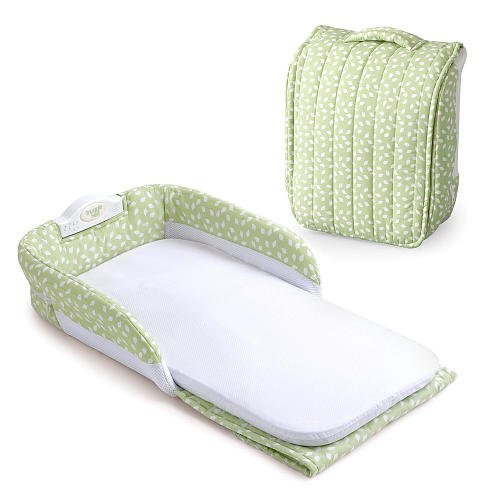 Baby Delight Snuggle