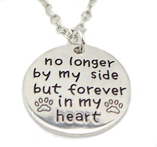 No Longer by My Side but Forever In My Heart - Pendant Necklace Charm Jewelry - For the Love of Pets