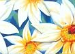 Yellow Daisy Wallpaper Border