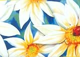 Yellow Daisy Wallpaper Border