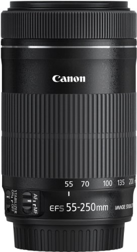 Canon 望遠ズームレンズ EF-S55-250mm F4-5.6 IS STM APS-C対応 EF-S55-250ISSTM