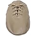 Bloch Dance Women's Jazzsoft Split Sole Leather Jazz Shoe