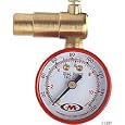 AccuGage Tire Pressure Dial Gauge (160psi, Schrader Valve)