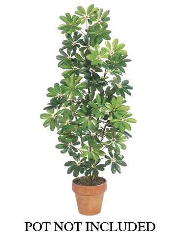 Pack of 2 Artificial New Baby Schefflera Silk Plants 5.5'