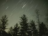 Star Streaks over the Nantahala National Forest Photographic Poster Print, 18x24