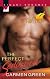 The Perfect Seduction (Kimani Romance)