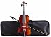 Becker 1600J Soloist Series Violin Outfit