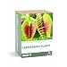 Gift Republic: Grow It. Grow Your Own Carnivorous Plants