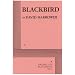 Blackbird