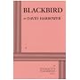 Blackbird