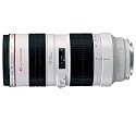Canon EF 70-200mm f/4.0 L USM Lens