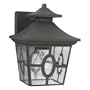Thomas Lighting SL9111-62 Galley House - One Light Wall Fixture, Aged Bronze Finish with Seedy Glass