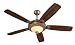 41jepAvMxvL. SL75  Sea Gull Lighting 16150B 962 Ceiling Fan Light Kit   Brushed Nickel Finish