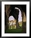 Ruins of Llanthony Priory, Vale of Ewyas, Black Mountains, Gwent, Wales, United Kingdom Framed Art Poster Print by Adam Woolfitt, 25x31