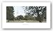 Salisbury Cathedral by Michael Hudson 8"x20" Art Print Poster