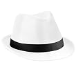 fedora hats for men