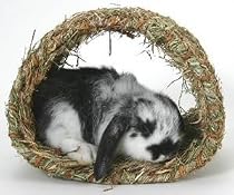 Woven Grass Hide-A-Way Hut