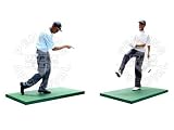 Upper Deck Pro Shots Set of Two Tiger Woods Action Figures