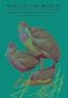 Rails of the World: A Monograph of the Family Rallidae