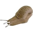 6 Snail Magnets, Very Real and Lifelike
