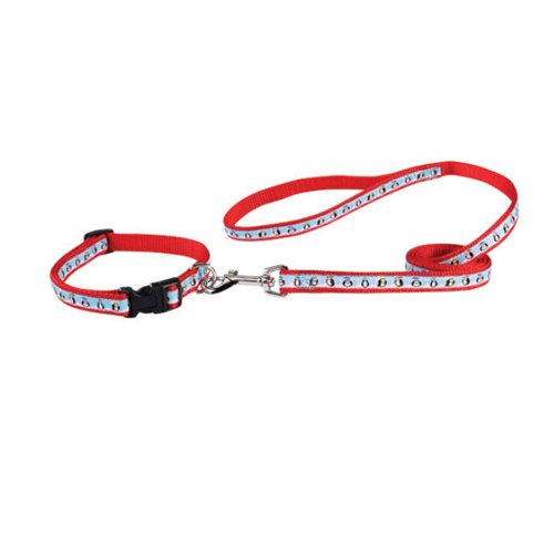 Zack & Zoey Nylon Season's Greetings Collar and Lead Set, Penguins On Ice, 18 to 26-Inch