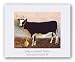 Barnyard Friends IV - Bathsheba and Susie by Sally Caldwell Fisher 13.25x11 Art Print Poster
