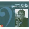 Scherzo Furioso