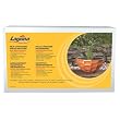 Hagen Urban Water Bowl Orange Hnycmb