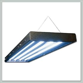 Grow Light Fixture | 4 bulb by Joebonsai