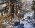 2 Deer Buck Art Prints Western Themed Hunting Posters