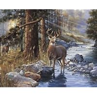 2 Deer Buck Art Prints Western Themed Hunting Posters