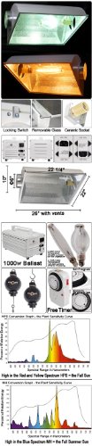 1000 Watt HPS MH Hydroponic 6 inch Light System