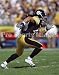 Troy Polamalu Pittsburgh Steelers 8x10 Photo