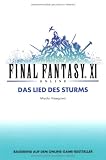 Final Fantasy XI: Das Lied des Sturms, Bd 1 - Miyabi Hasegawa, Kaoru Iriyama-G&uuml;rtler, Kaoru Iriyama- G&uuml;rtler