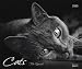 Cats 2010. PhotoArt Kalender