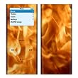 Firestarter Design Decal Skin Sticker for Apple iPod nano 2G (2nd Generation) 2GB/ 4GB/ 8GB Player