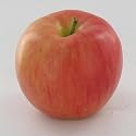 Red Apple Artificial Fruit Counter Table Top Kitchen