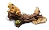 Outdoor Living : Sunterra 350102 Frogs on Log Spitter