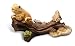 Sunterra 350102 Frogs on Log Spitter