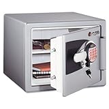 Electronic Personal Safe, .8 ft3, 16-11/16w x 19-5/16d x 13-23/32h, Gray