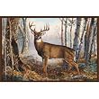 Associated Weavers Whitetail (Buck) Wildlife Rug