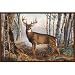 Associated Weavers Whitetail (Buck) Wildlife Rug