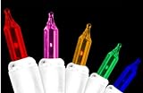 Review Everstar  / Set of 100 Multi-Color Mini Christmas Lights With White Wire #ES66-077