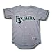 Florida Marlins MLB Replica Team Jersey (Road) (Small) - Small