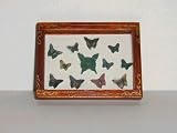 Butterfly Collection in Picture Frame Dolls House Furniture 1/12th Scale