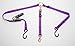 Cetacea Pet Truck Bed Tether with Ratchet Tightening Hardware, One Size, Purple