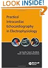 Practical Intracardiac Echocardiography in Electrophysiology