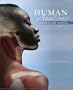 Human Anatomy Lab Manual to Accompany Human Anatomy by McKinley